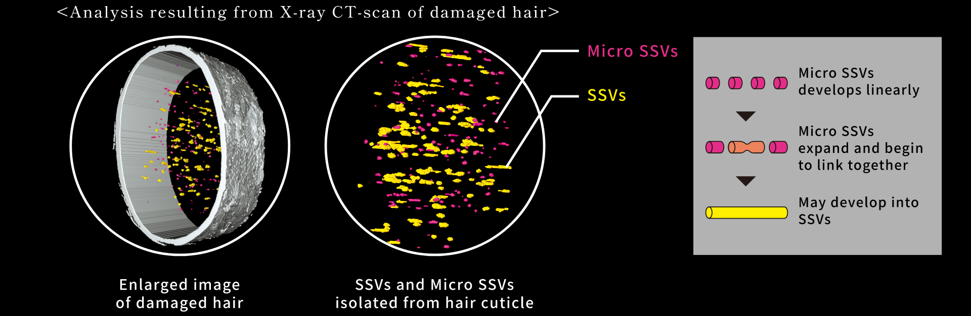 Analysis resulting from X-ray CT-scan of damaged hair